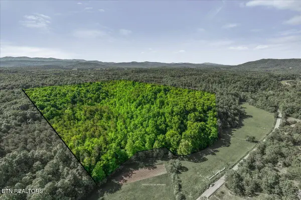 Shadden Road, Tellico Plains, TN 37385