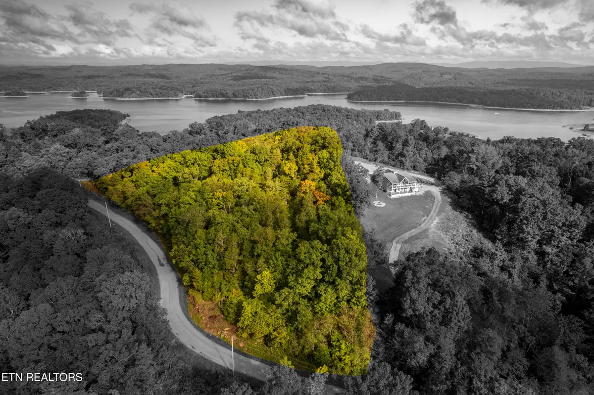 Lakeview Drive, Sharps Chapel, TN 37866 - #1