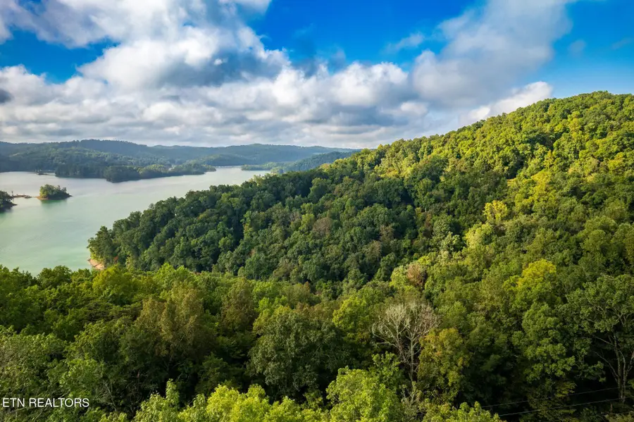Lakeview Drive, Sharps Chapel, TN 37866 - #3