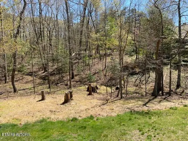 Mariners Point, Fairfield Glade, TN 38558 - #1