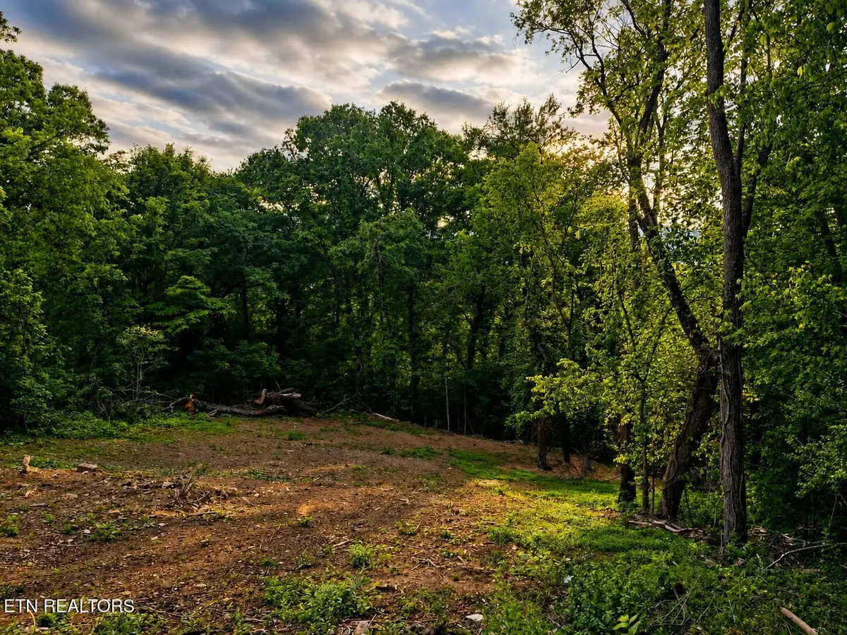 147 Stephens Rd, Rocky Top, TN 37769 - #1