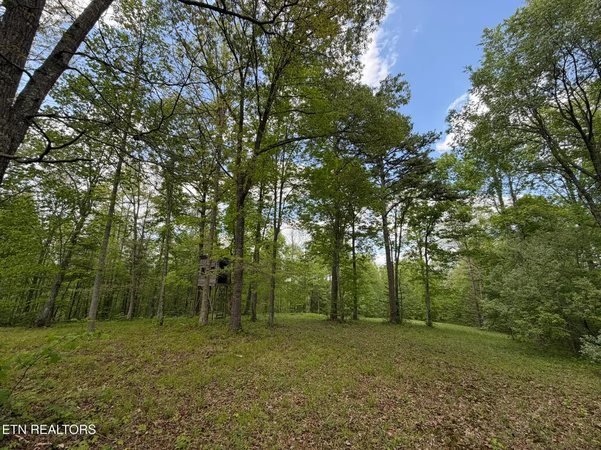 0 Scott Hwy, Helenwood, TN 37755 - #1