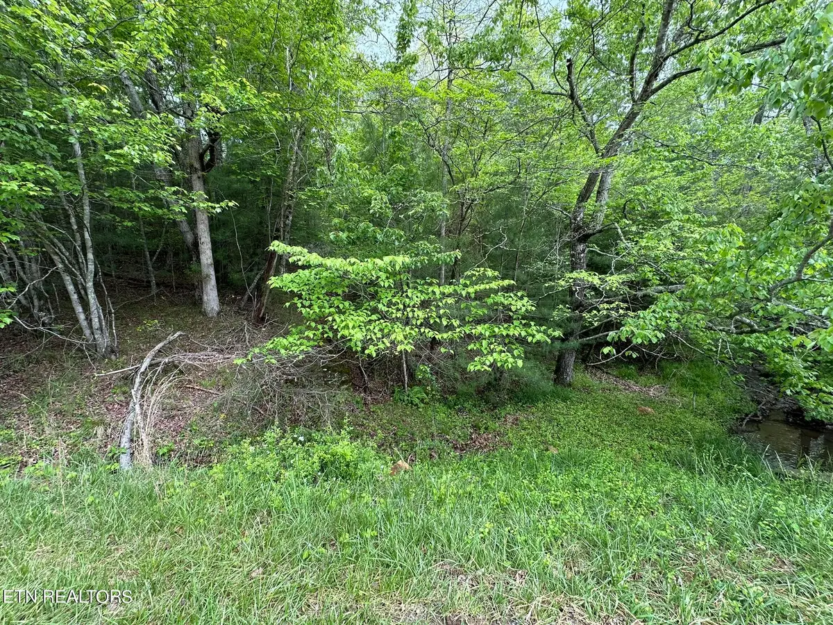 110 & 112 Forest Hill Drive, Crossville, TN 38558 - #1