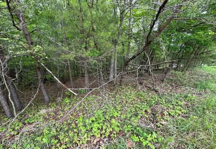 110 & 112 Forest Hill Drive, Crossville, TN 38558 - #2