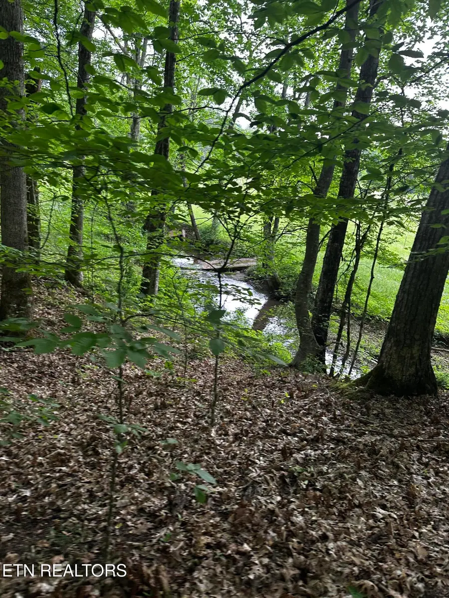 104 Dug Ridge Rd, Kingston, TN 37763 - #3