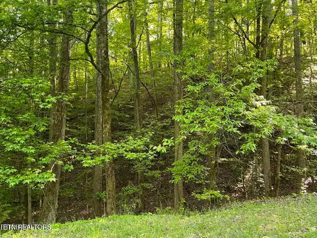 336-342 Omega Drive Drive, Spring City, TN 37381 - #1