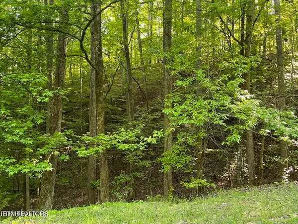 336-342 Omega Drive Drive, Spring City, TN 37381