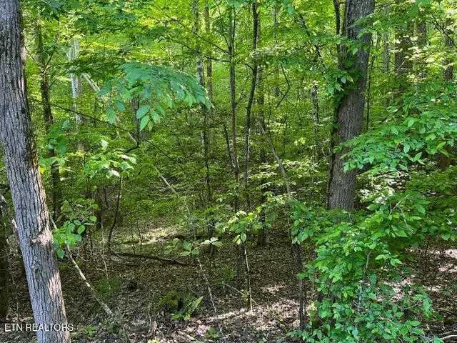 373-375 Beta Drive Drive, Spring City, TN 37381 - #1