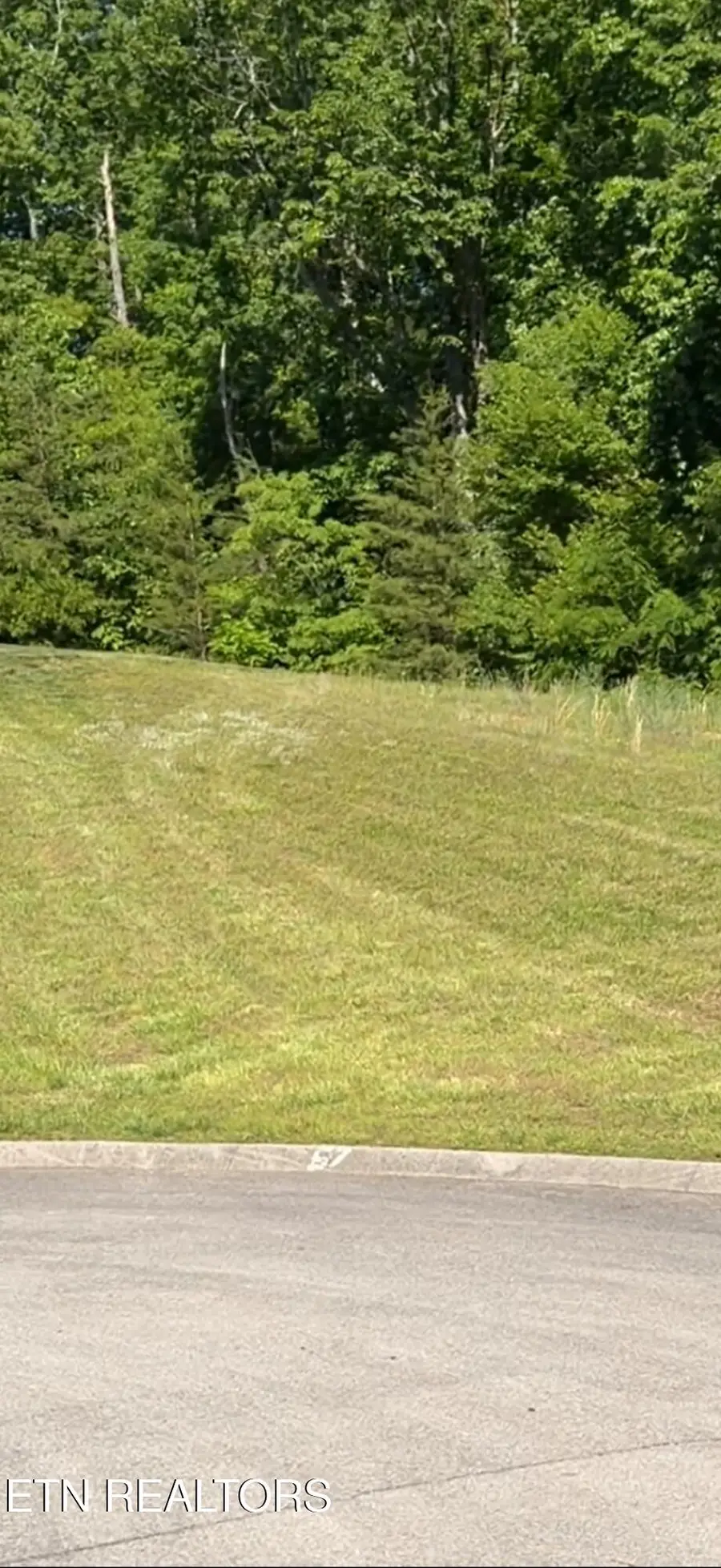 6300 Coves Edge Tr, Russellville, TN 37860 - #3