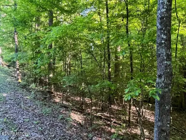 328-329 Omega Drive Drive, Spring City, TN 37381