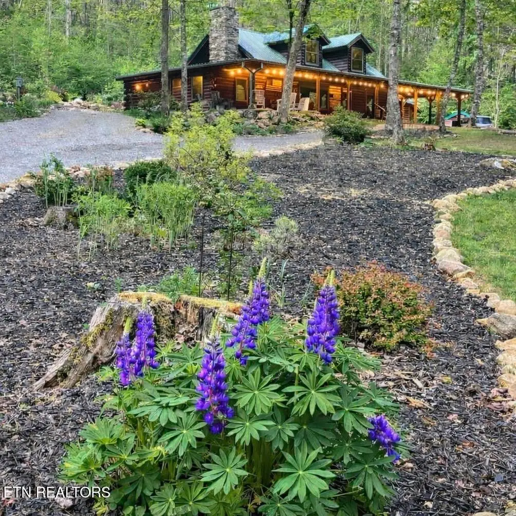 480 Holder Cemetery Rd, Tellico Plains, TN 37385 - #1