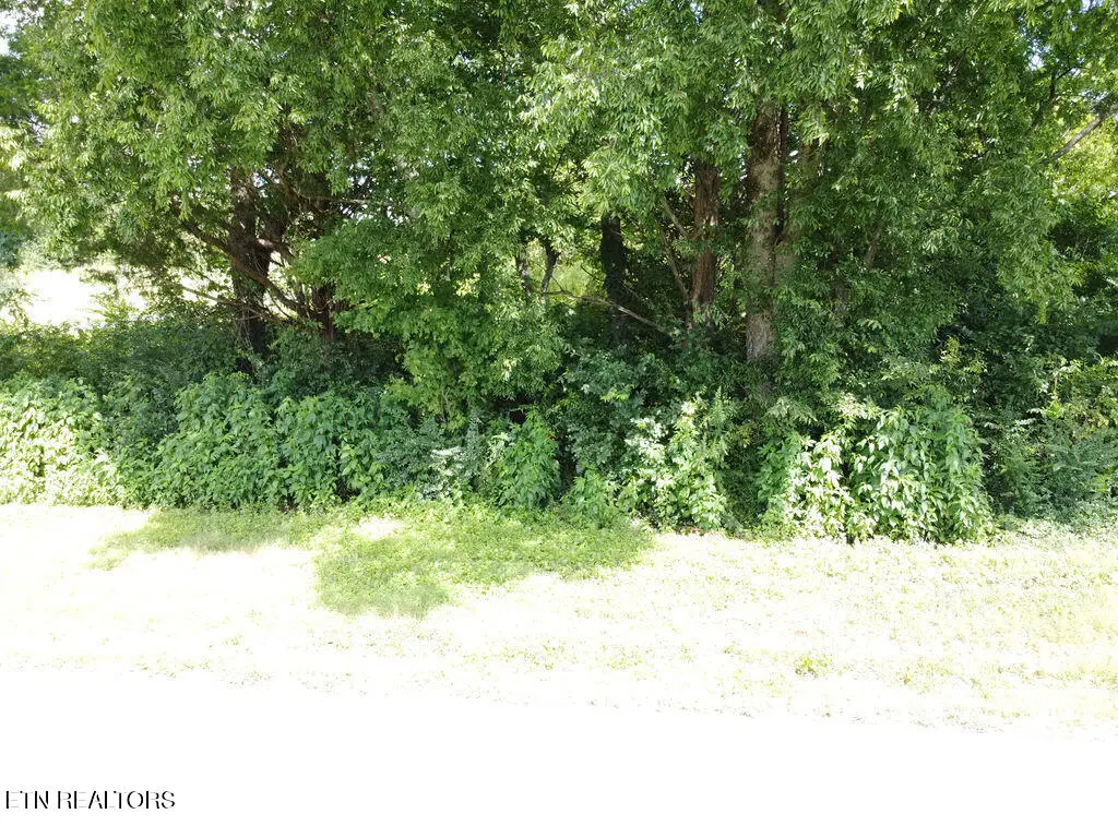 00 County Road 436, Athens, TN 37303 - #1