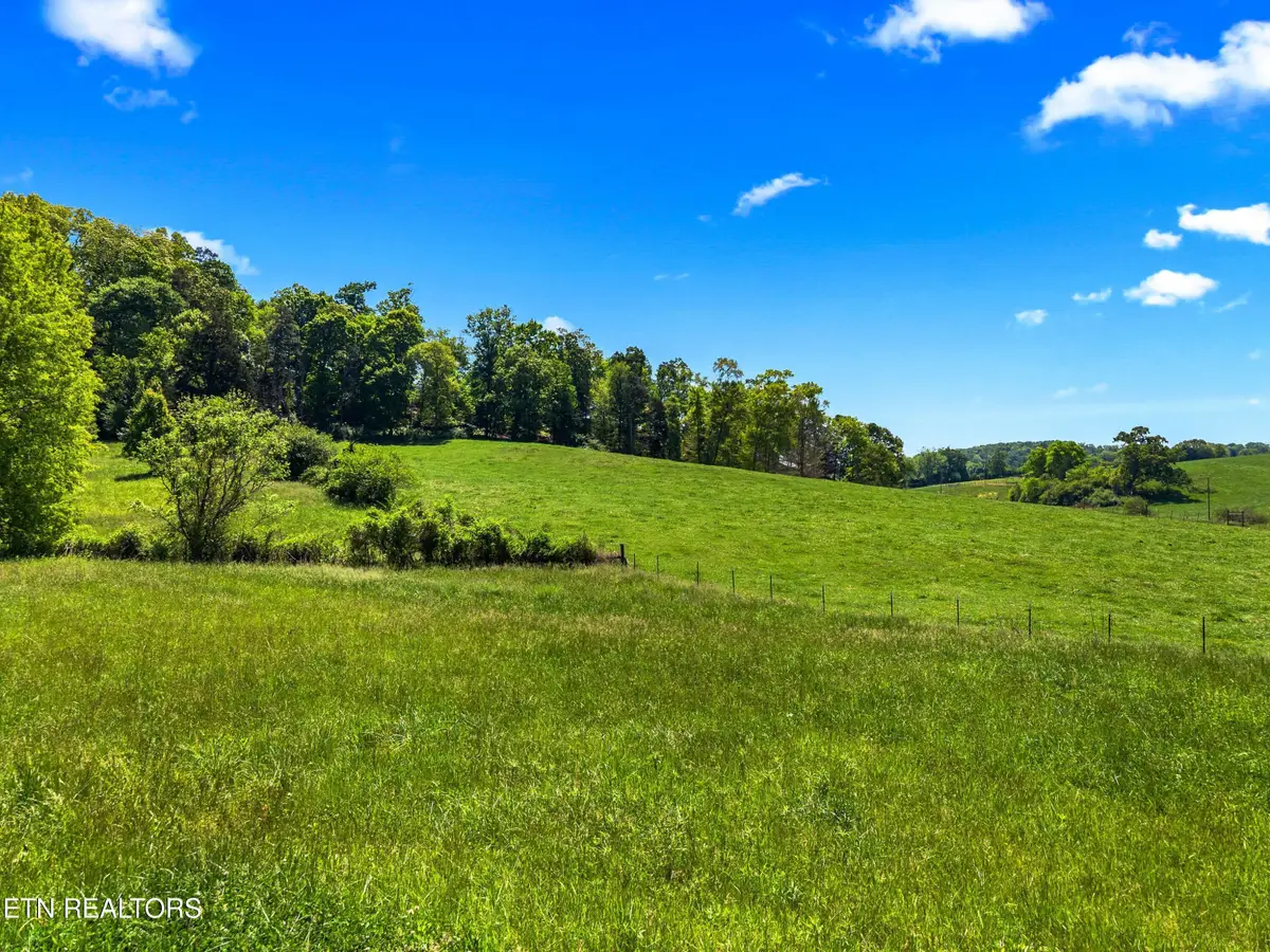 TBD Anderson Bend Rd, Russellville, TN 37860 - #1