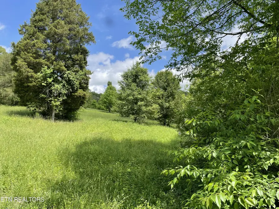 TBD Anderson Bend Rd, Russellville, TN 37860 - #3