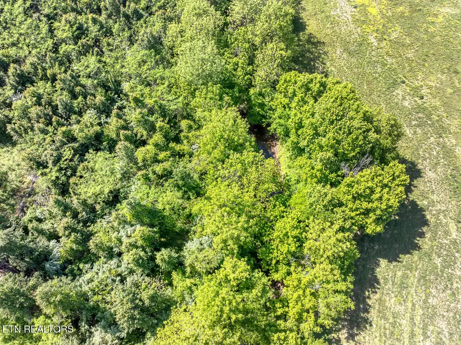 Boyds Creek Hwy, Sevierville, TN 37876 - #3
