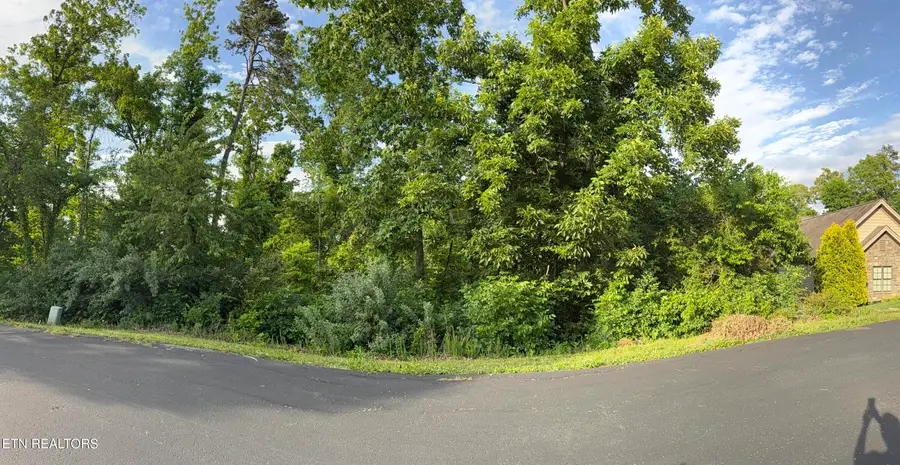 312 Skiatook Circle, Loudon, TN 37774 - #3