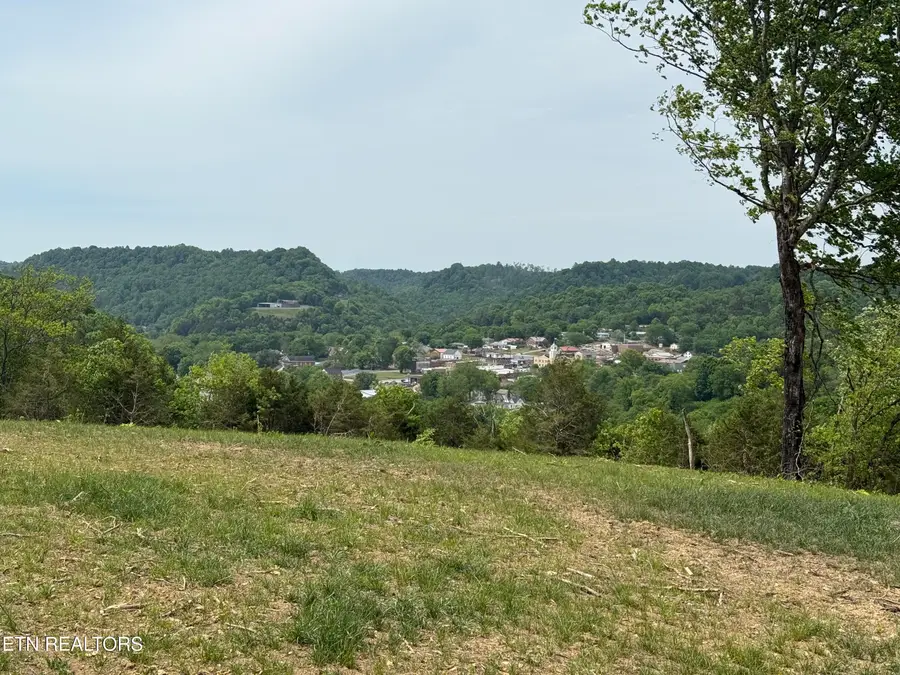 0 Baugh Hollow Lane, Gainesboro, TN 38562 - #3