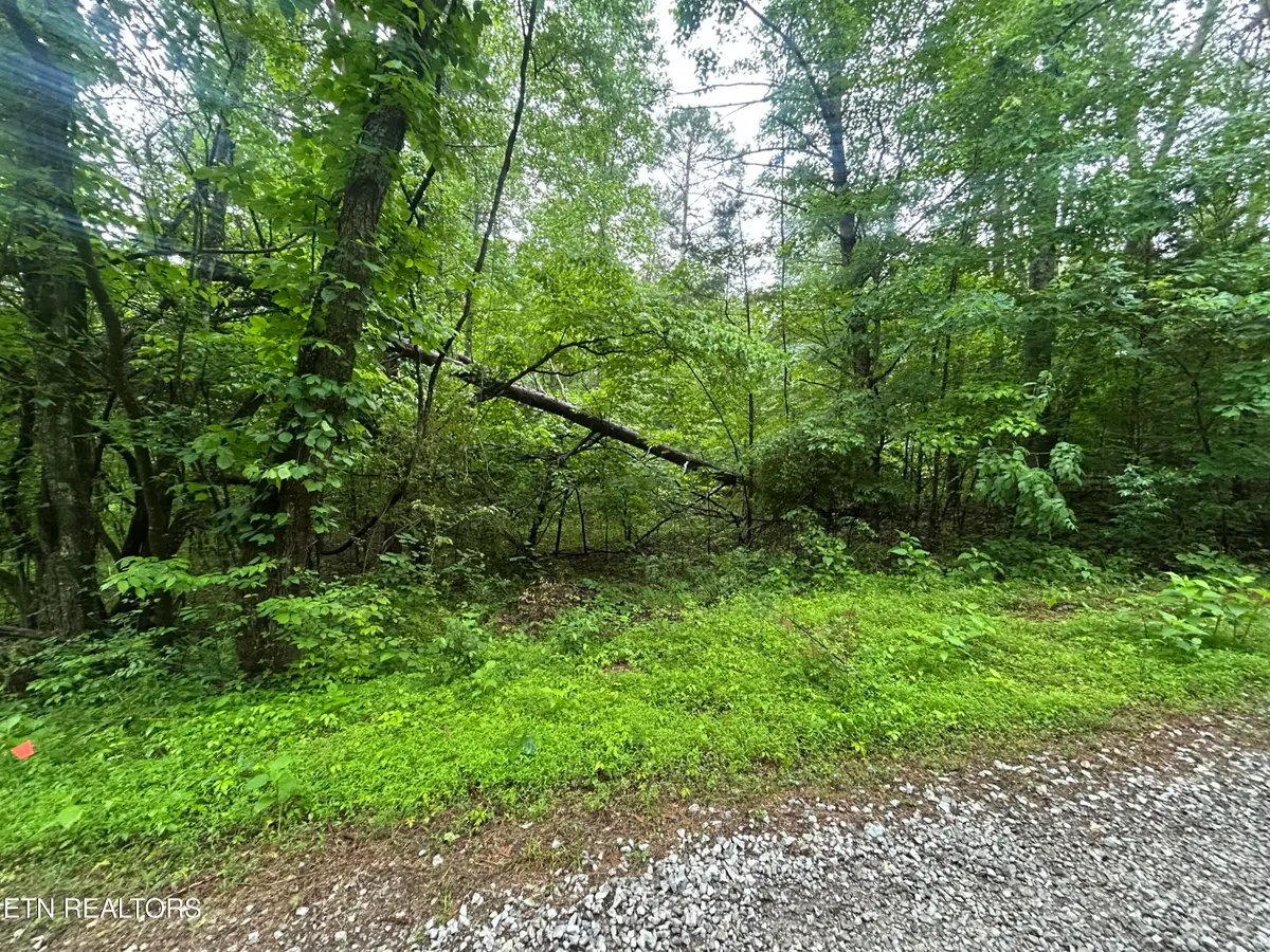 Lot 105-108 Settlers Rd, Harriman, TN 37748 - #1