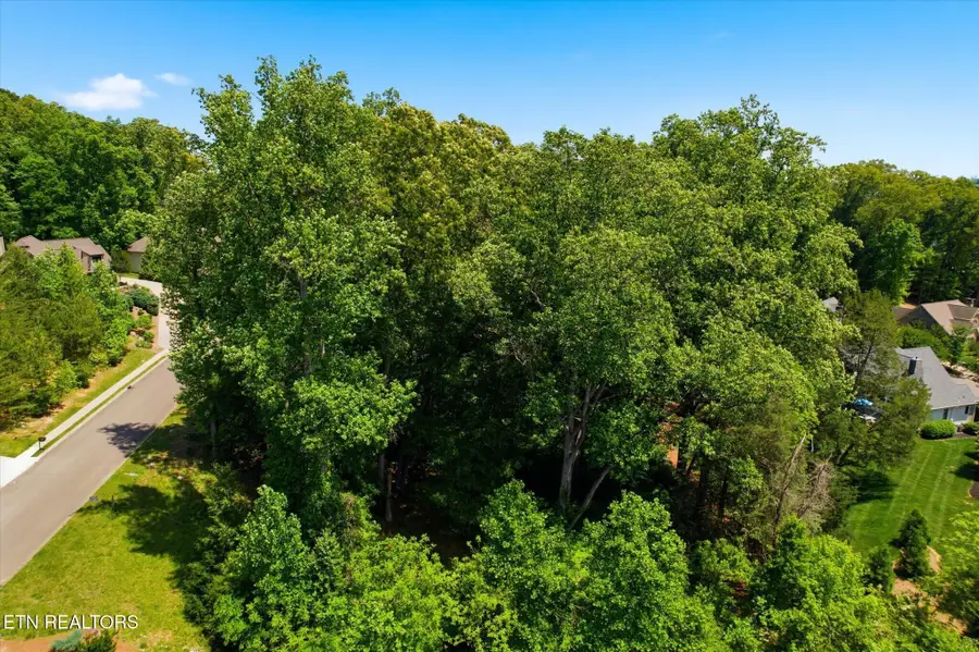 2221 Viewcrest Lane, Knoxville, TN 37932 - #3
