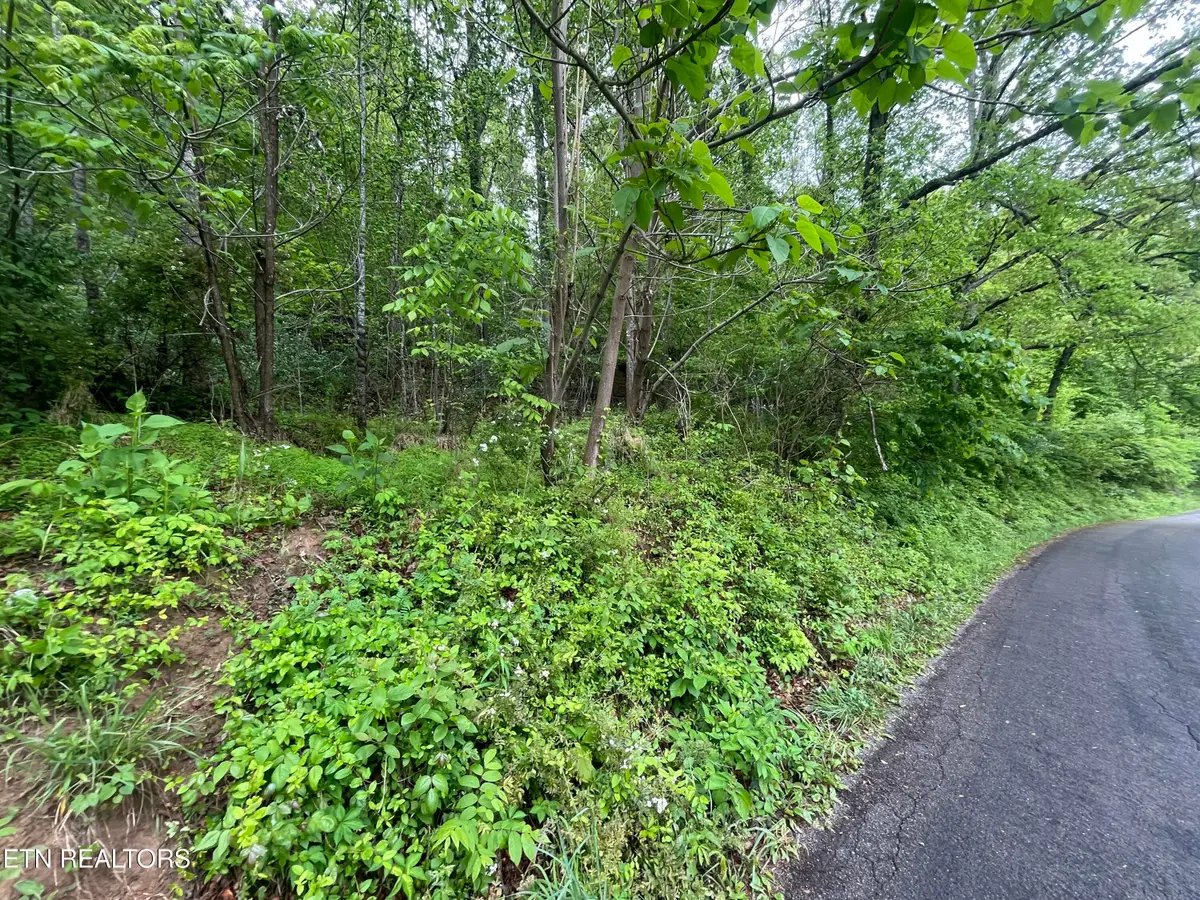 TBD Valley Creek Rd, Dryden, VA 24243 - #1