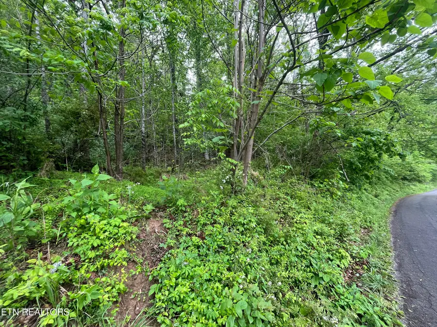 TBD Valley Creek Rd, Dryden, VA 24243 - #2