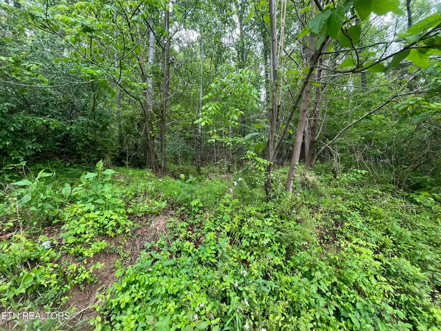 TBD Valley Creek Rd, Dryden, VA 24243 - #3