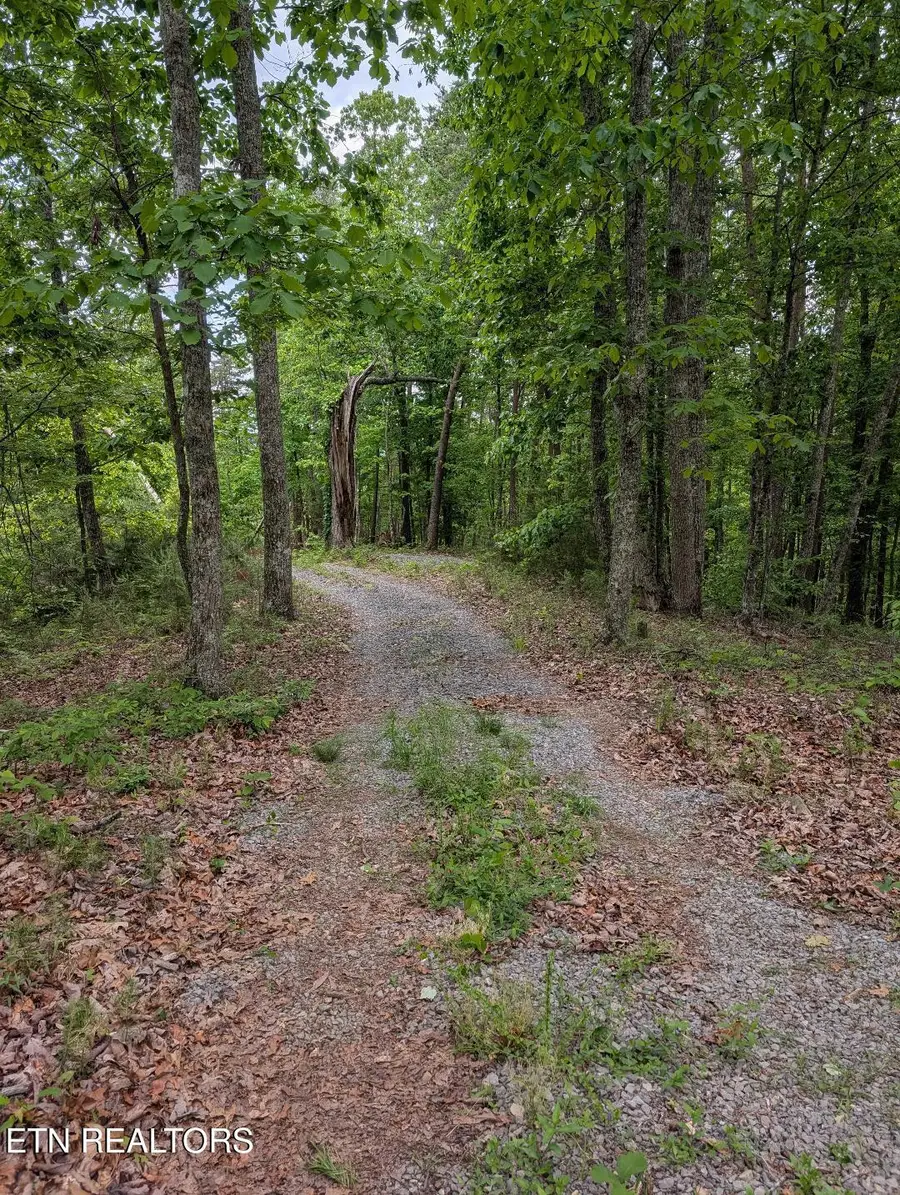 2840 Highway 61 W, Andersonville, TN 37705 - #3