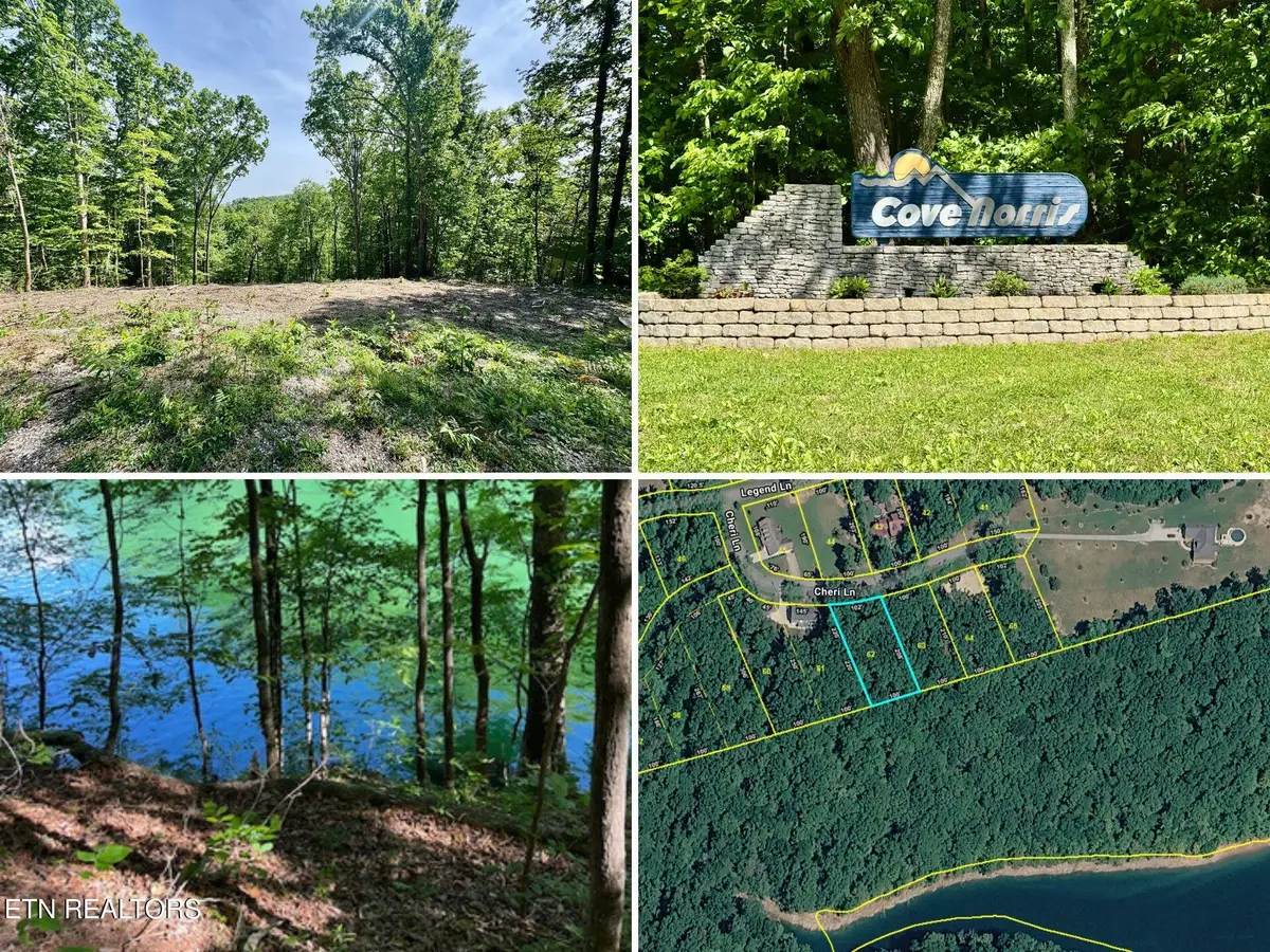102 Cheri Lane, Caryville, TN 37714 - #1