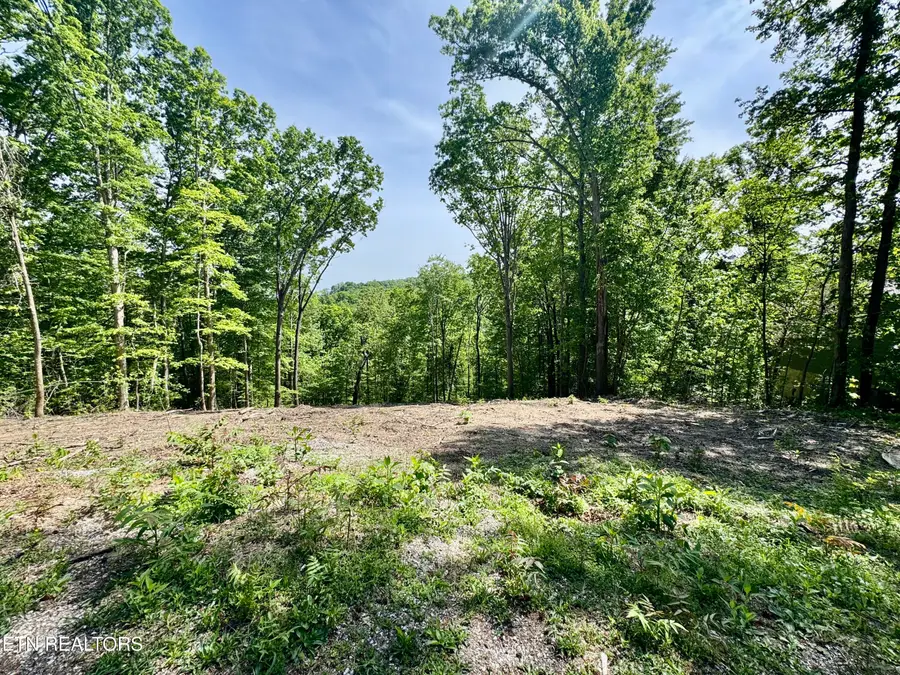 102 Cheri Lane, Caryville, TN 37714 - #2