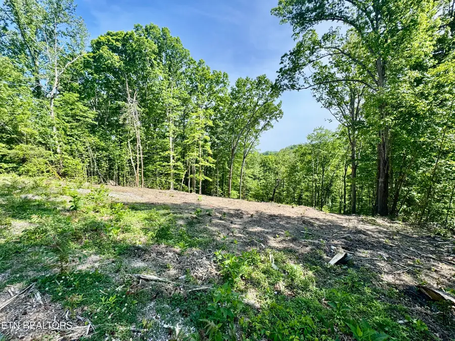 102 Cheri Lane, Caryville, TN 37714 - #3