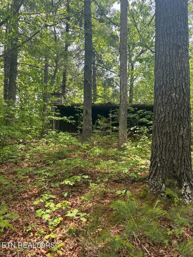 Mount Pleasant Rd, Vonore, TN 37885 - #1