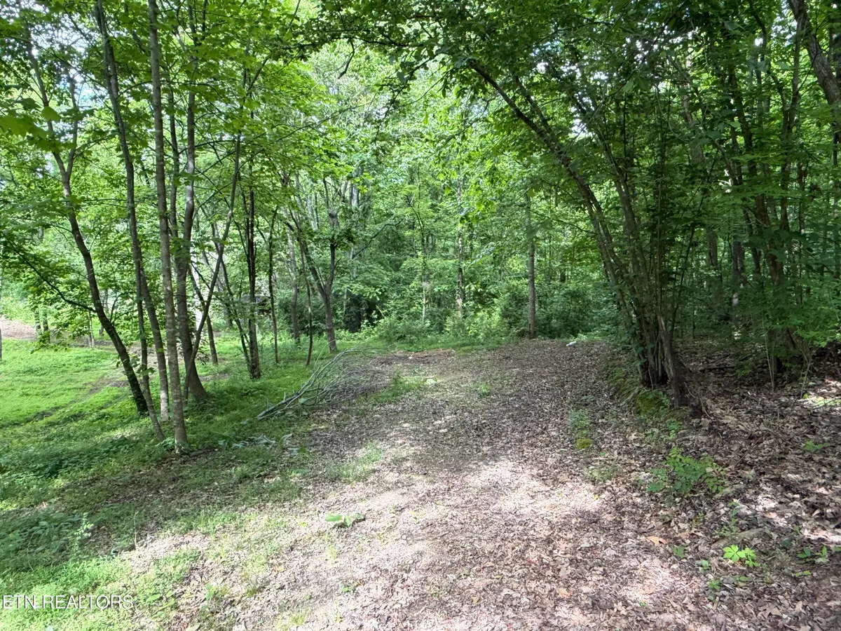 316 Wiley Town Rd, Newport, TN 37821 - #1
