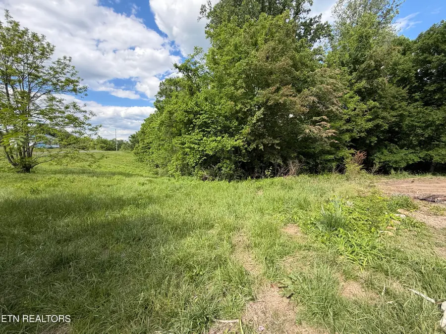316 Wiley Town Rd, Newport, TN 37821 - #2