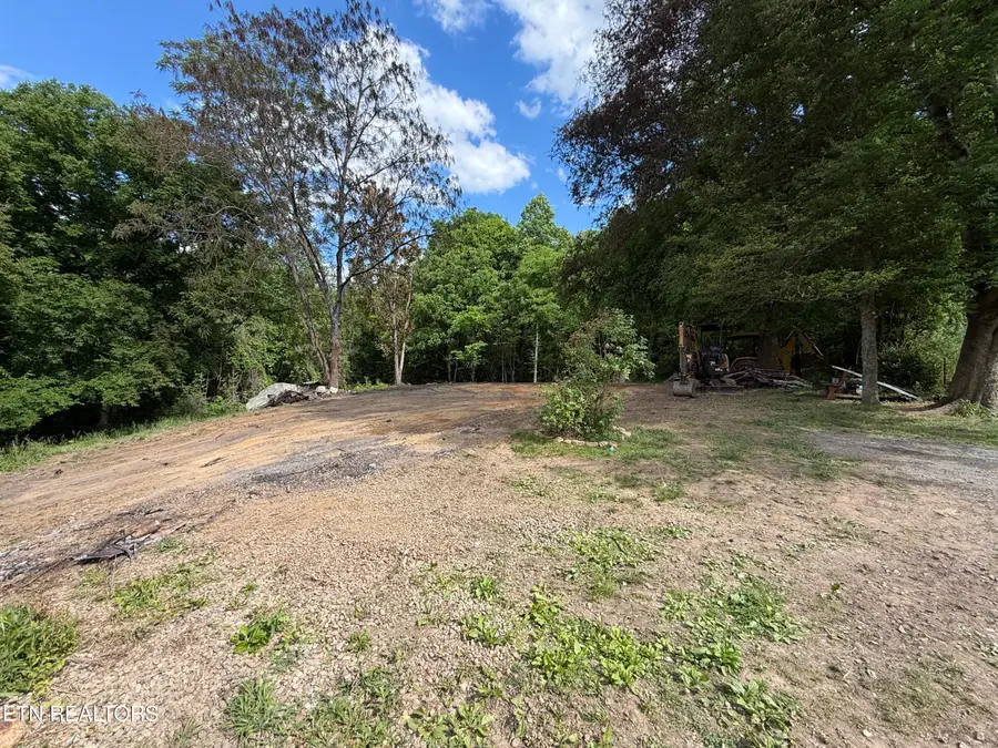 316 Wiley Town Rd, Newport, TN 37821 - #3