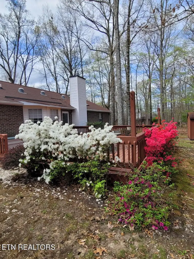 321 Lakeview Drive, Crossville, TN 38558 - #3