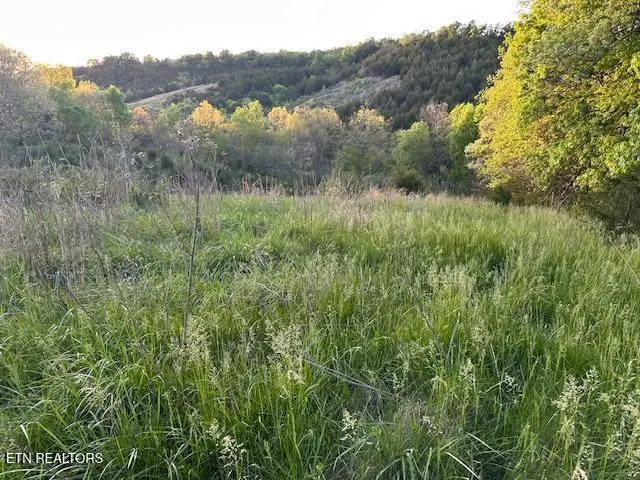 425 Airport Rd Rd, Bybee, TN 37713 - #3