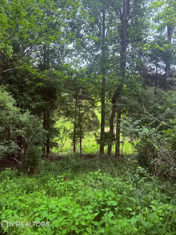 Chambers Rd, Jacksboro, TN 37757