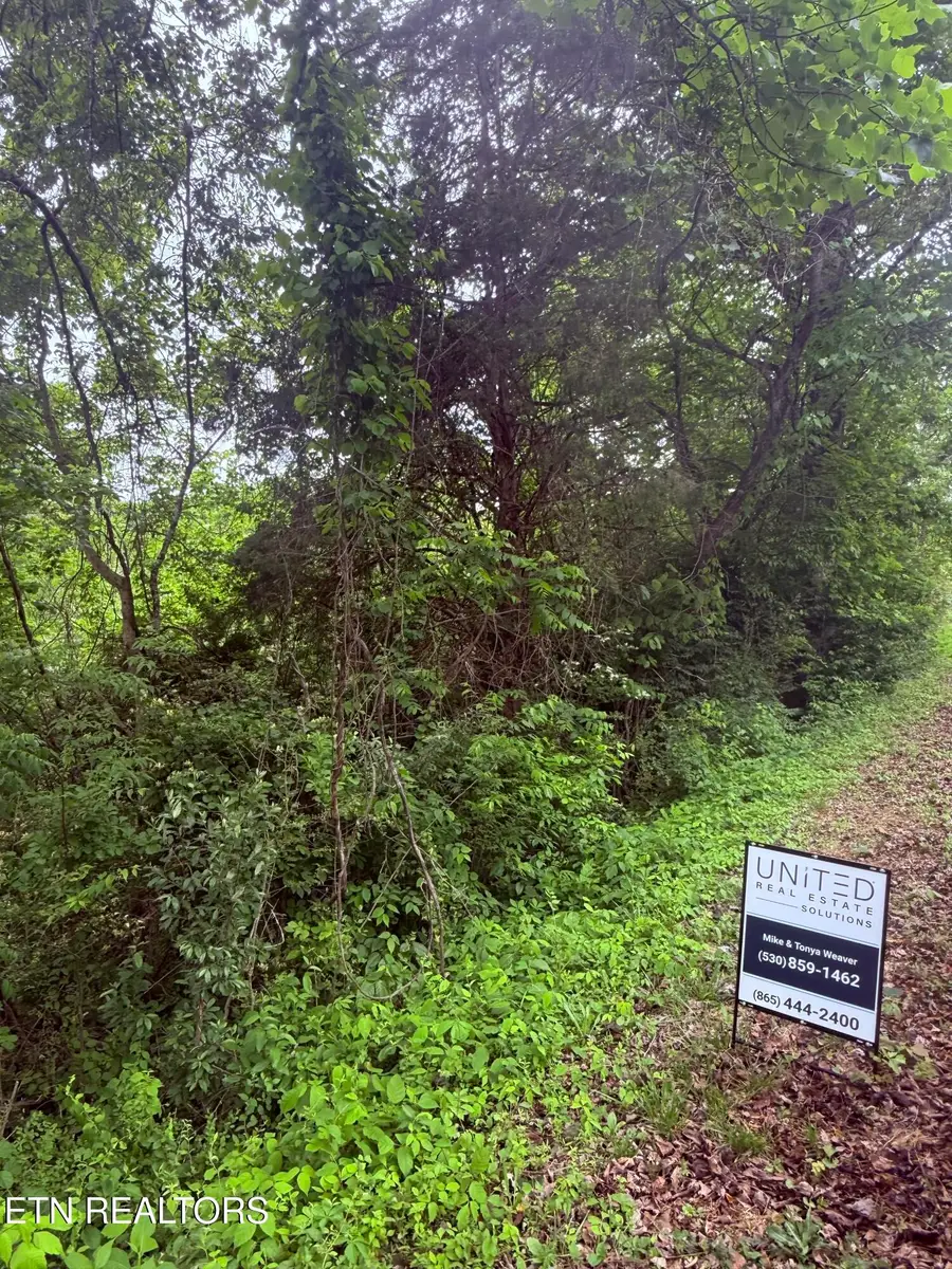 Chambers Rd, Jacksboro, TN 37757 - #2