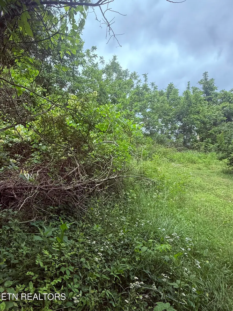 Chambers Rd, Jacksboro, TN 37757 - #3