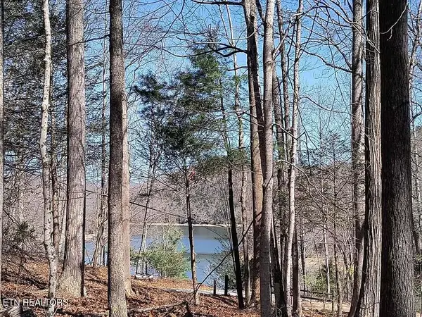 47 S Shorewood Drive, Caryville, TN 37714