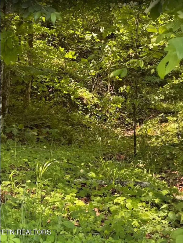 0 Spring Creek Rd, Cookeville, TN 38501