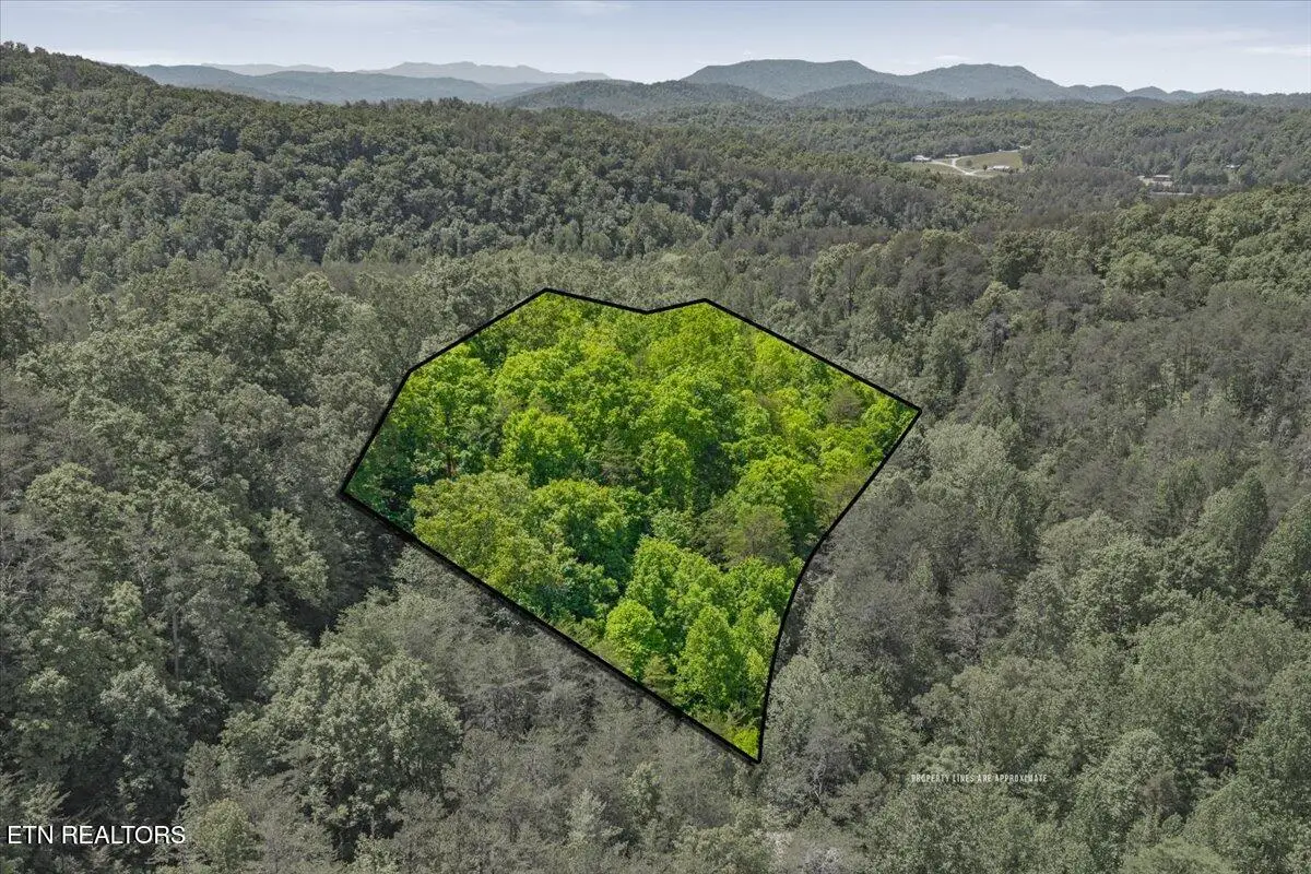 215 Citico Rd. Lot 1 Rd, Vonore, TN 37885 - #1