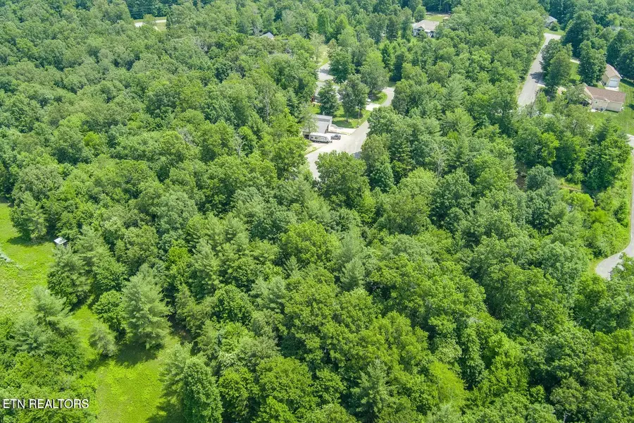 58 Mtn Preserve Point, Crab Orchard, TN 37723 - #2