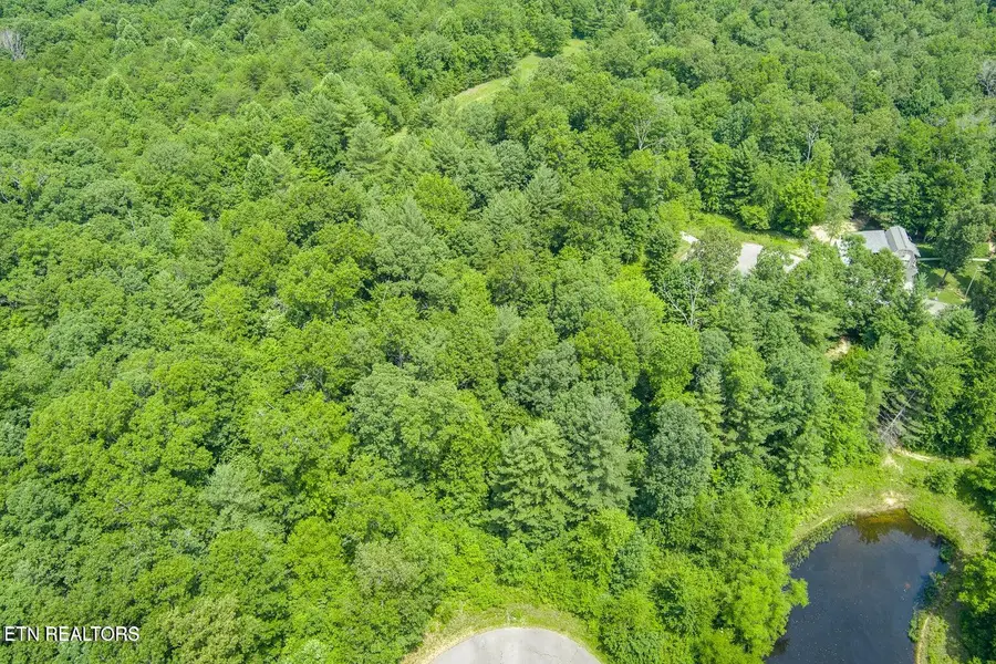 58 Mtn Preserve Point, Crab Orchard, TN 37723 - #3