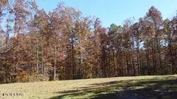 2036 Helenwood Detour Rd, Helenwood, TN 37755 - #2