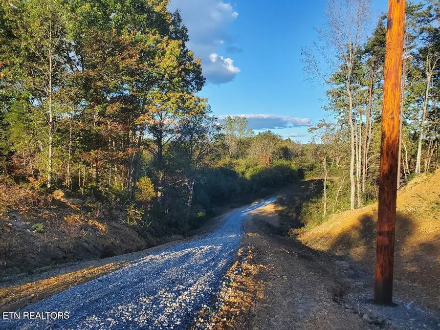 2036 Helenwood Detour Rd, Helenwood, TN 37755 - #3