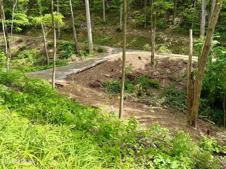 807 Old New Ground Rd, Gatlinburg, TN 37738 - #2