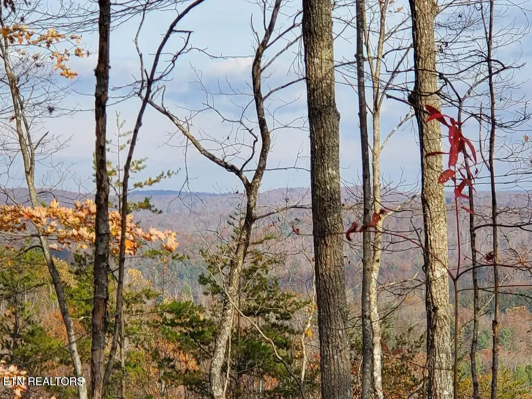 Bull Creek Rd S/0, Huntsville, TN 37756 - #1
