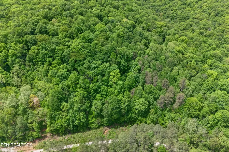 1041 E Obey Lane, Wilder, TN 38589 - #2