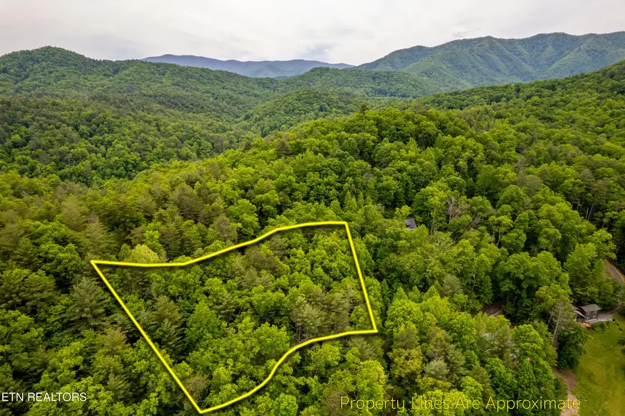914 Stonegate Way, Townsend, TN 37882 - #2